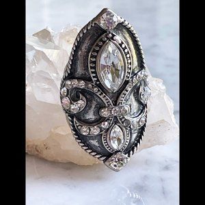 Antiqued Silver Fleur-de-Lis Shield Style Statement Ring, Stretch Sizing